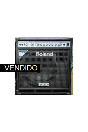 Roland D-BASS 115 Roland D-BASS 115